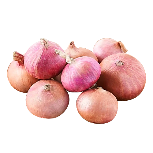 Fresh Onion, 2 kg