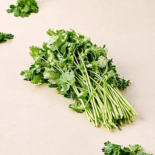 Fresh Coriander-1x20 Bunches