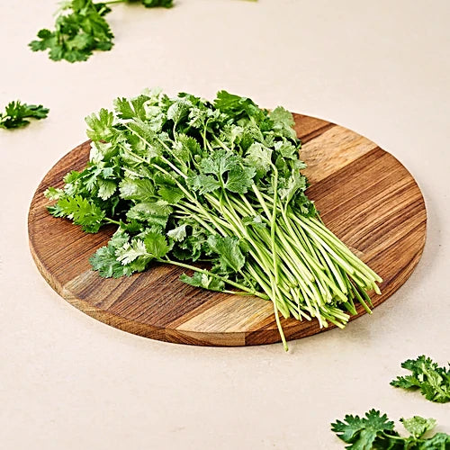Fresh Coriander-1x20 Bunches
